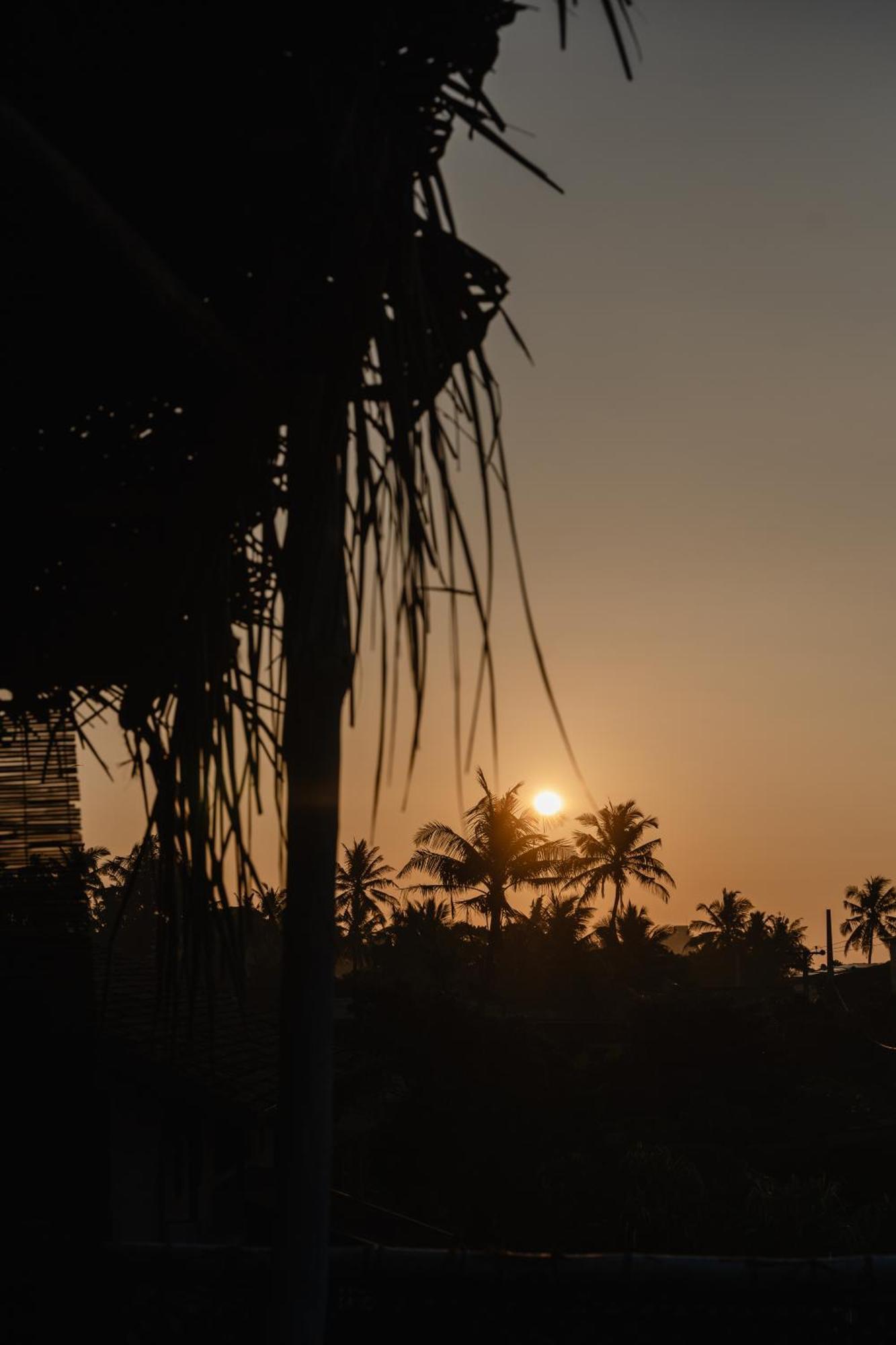 Gaia Ocean Surf Yoga Hostel Ahangama Bagian luar foto